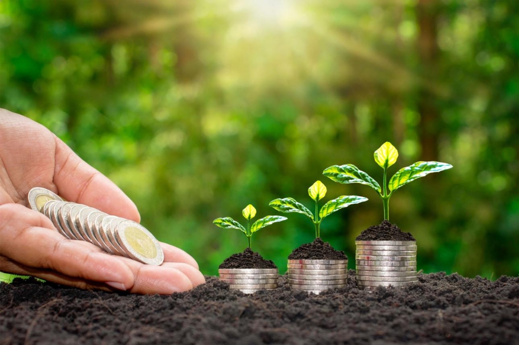 Investment Growth and Wealth Creation